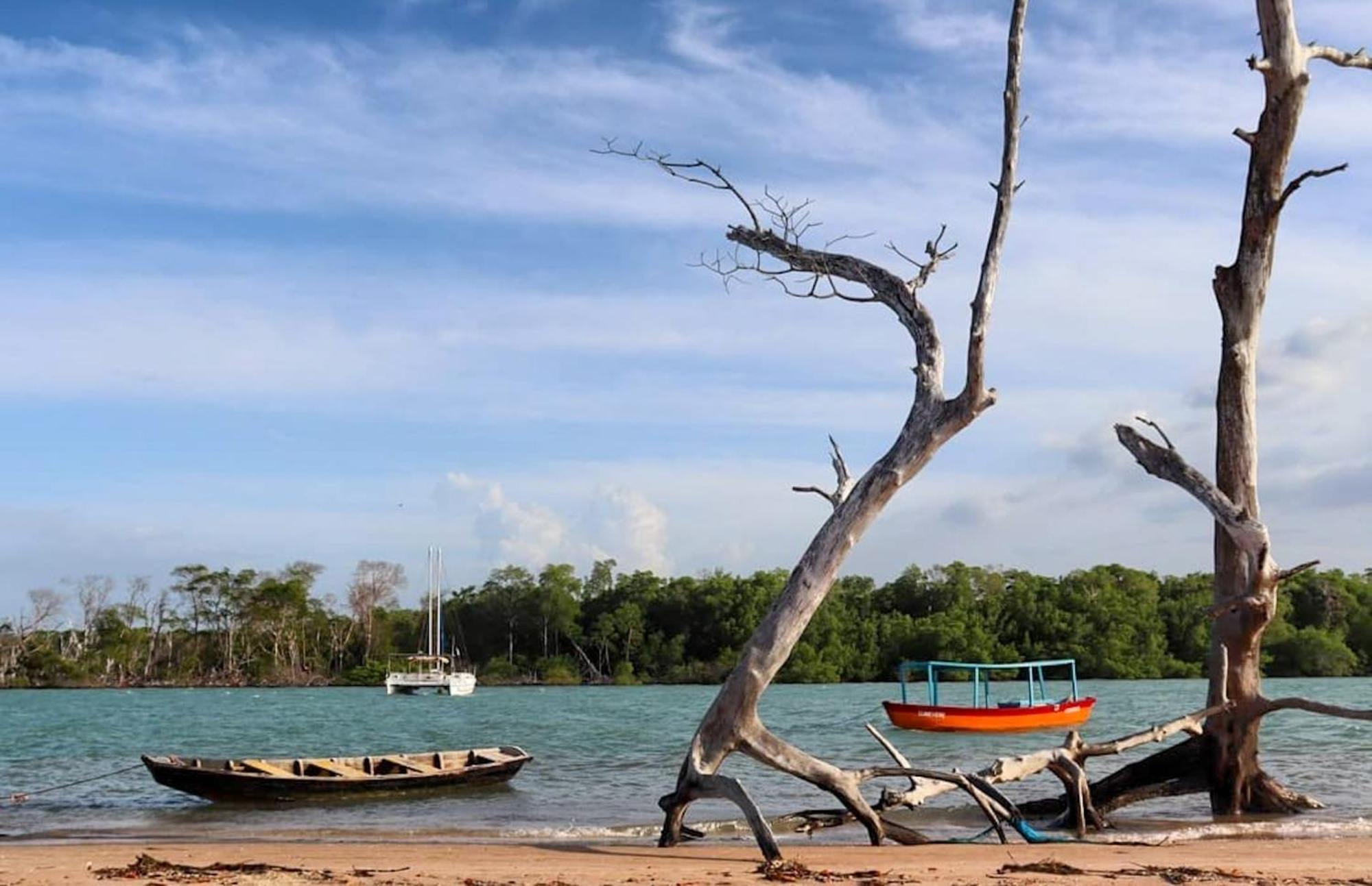 Pousada Coqueiro Beach ลุยส์กอร์เรยา ภายนอก รูปภาพ